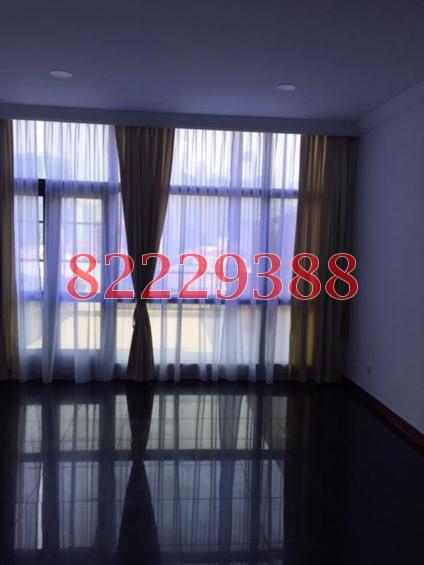 River Place (D3), Condominium #98528072